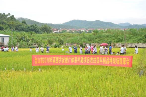 偃师市农业农村局新项目推动农业现代化助力乡村振兴