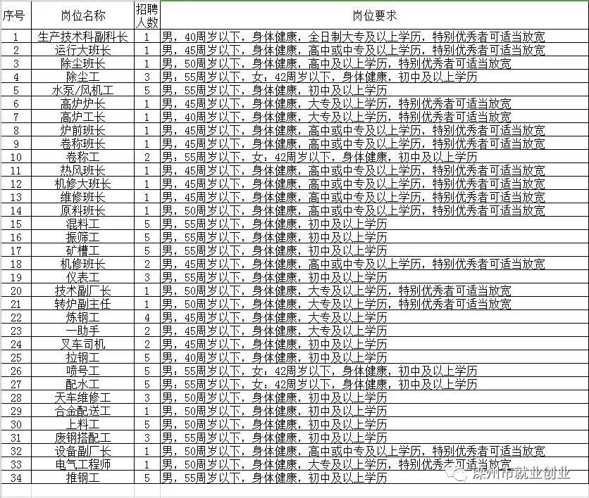 桃江县县级托养福利事业单位最新项目概览