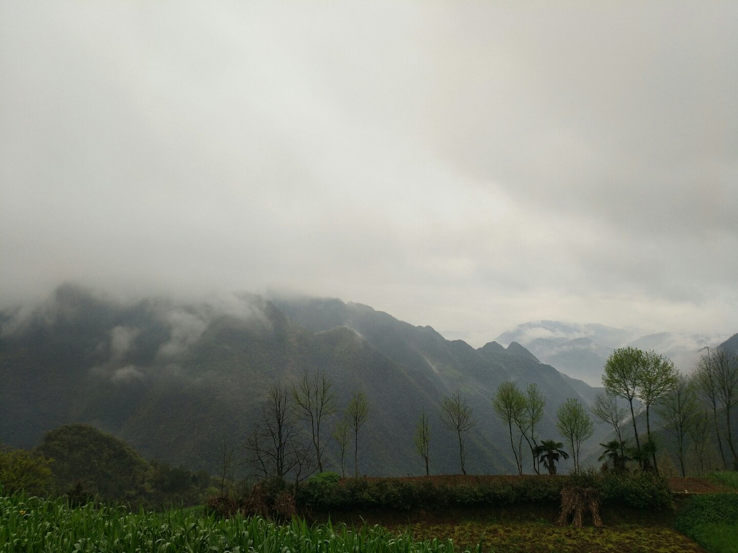 界岭乡最新天气预报