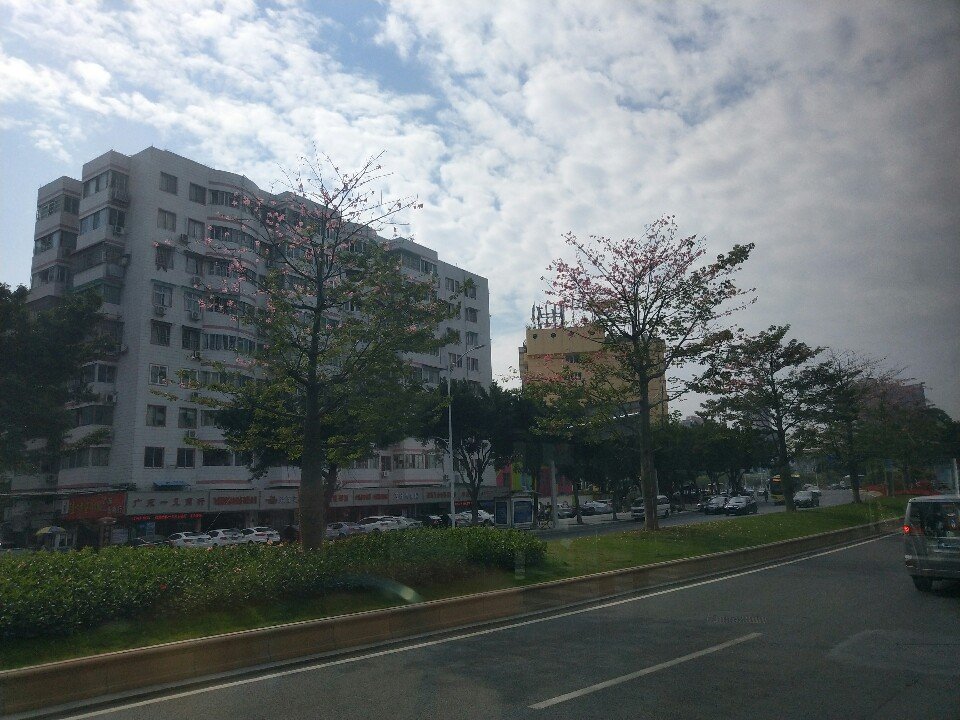 红岗街道最新天气预报通知