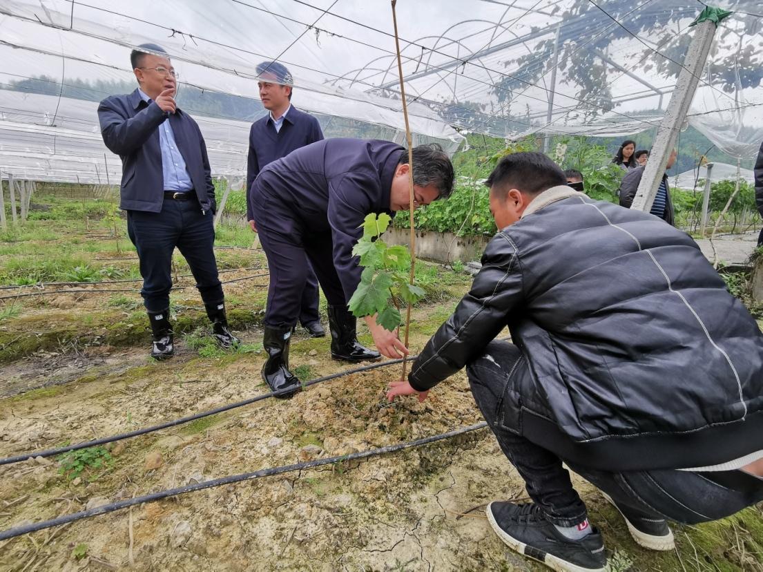 北湖区农业农村局领导团队引领农业新发展，乡村振兴再添新动力