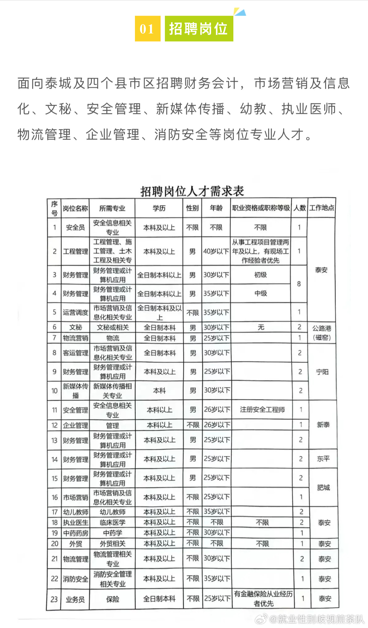 凤翔县数据和政务服务局最新招聘全解析