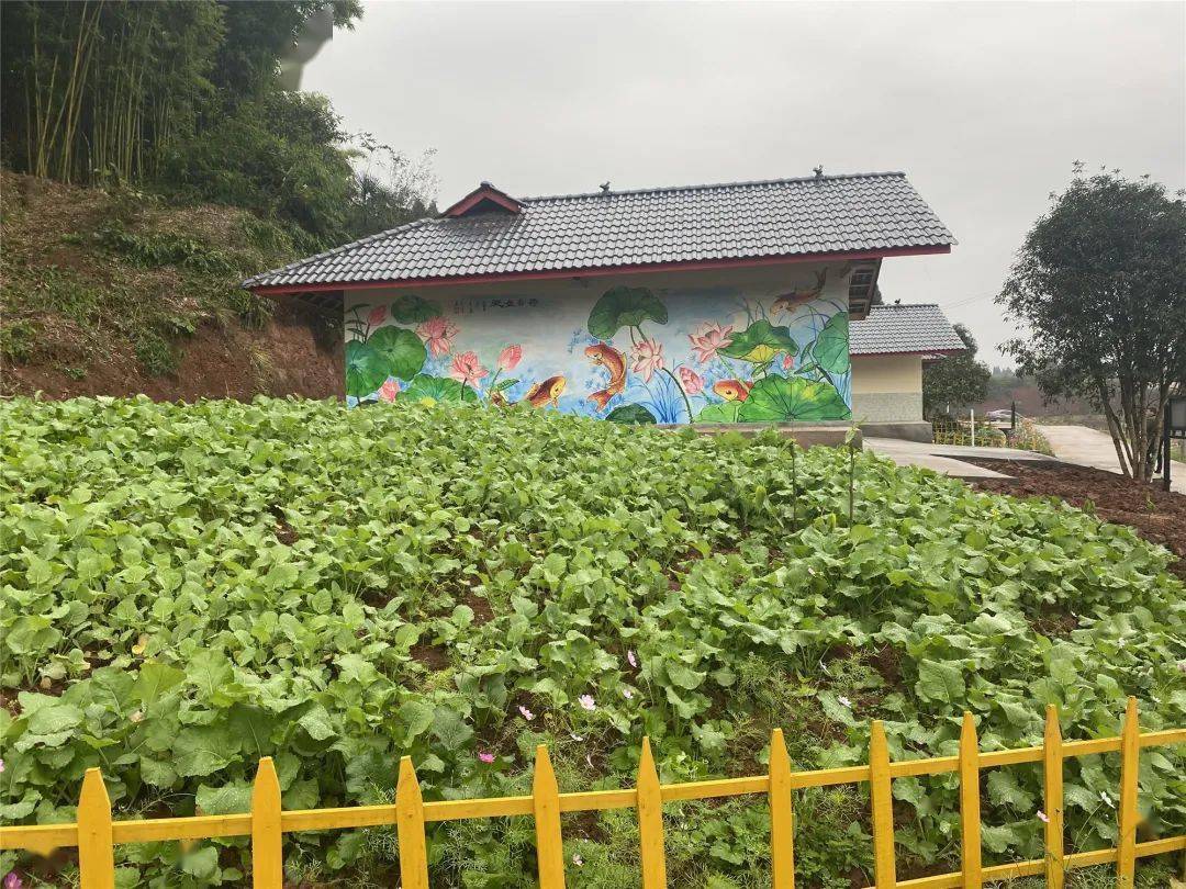 高石村发展规划揭秘，走向繁荣与和谐共生之路