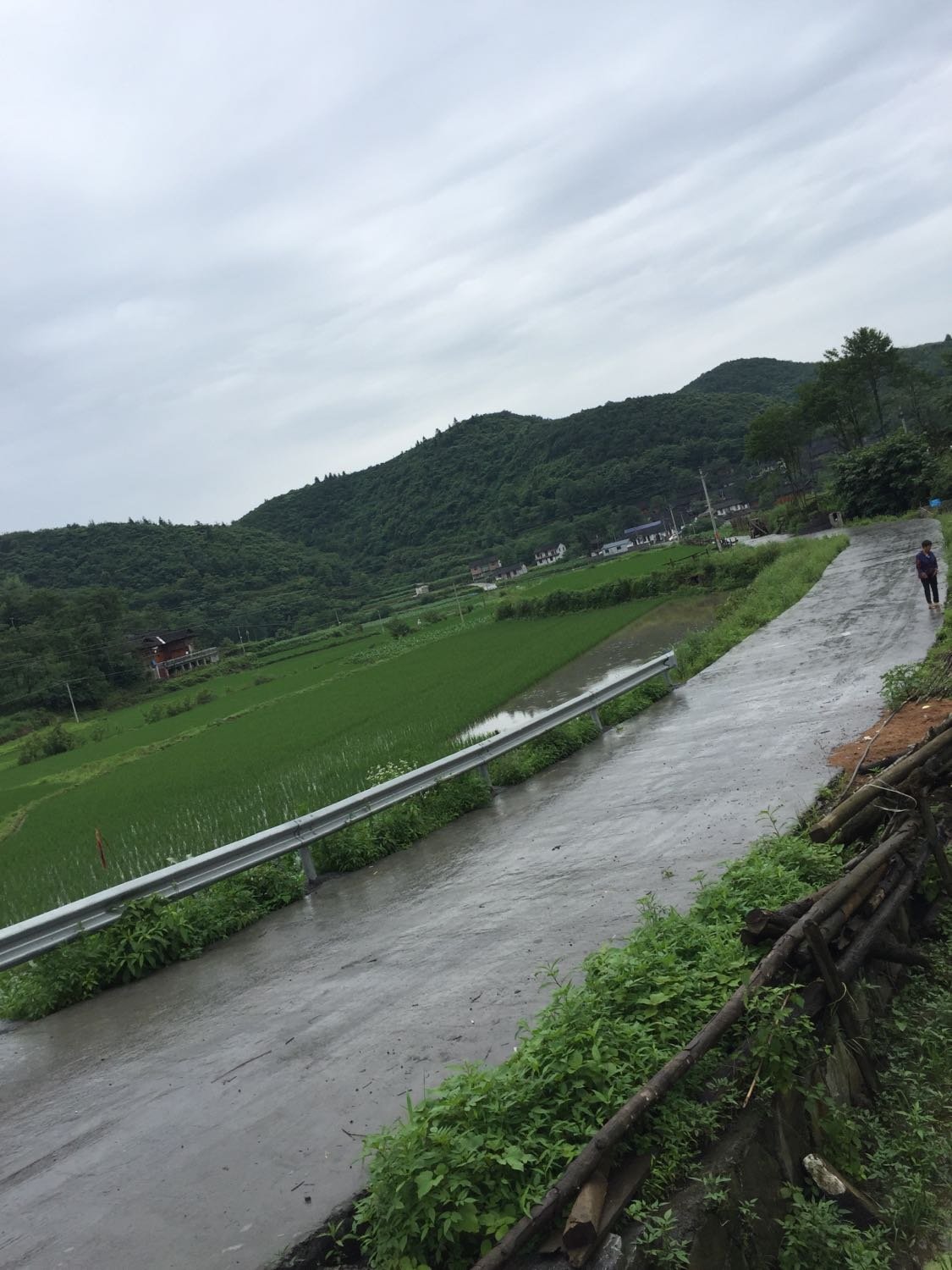 水滩坪村民委员会天气预报更新通知