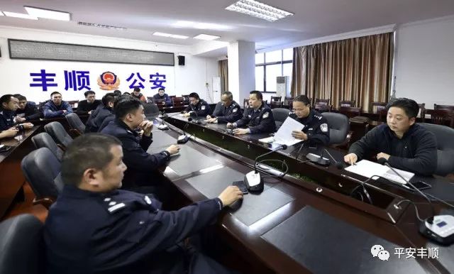 丰顺县公安局现代化警务体系发展规划，提升社会治理效能