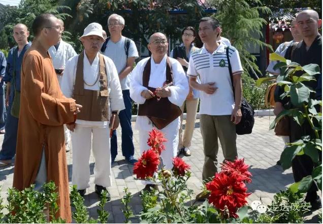 成安县发展和改革局最新发展规划概览