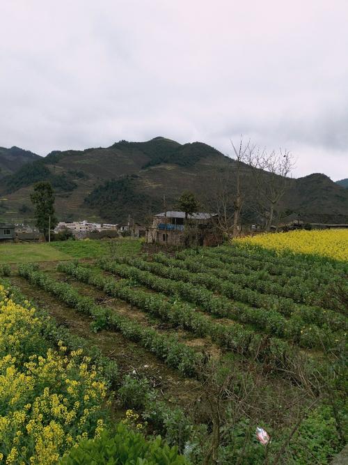 咏生乡最新天气预报概览