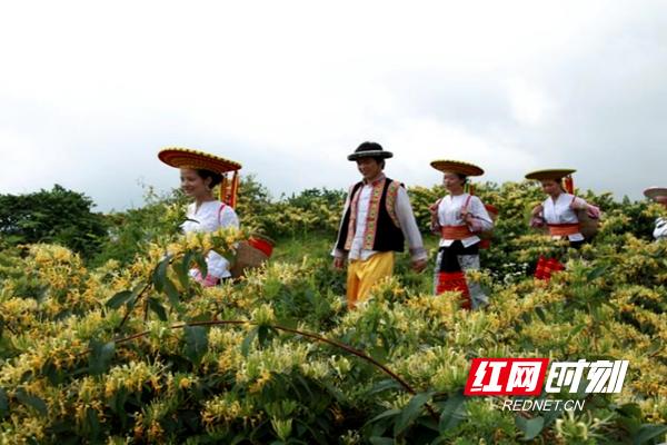 隆回县科学技术和工业信息化局最新人事任命，推动科技创新与工业信息化发展的强大力量