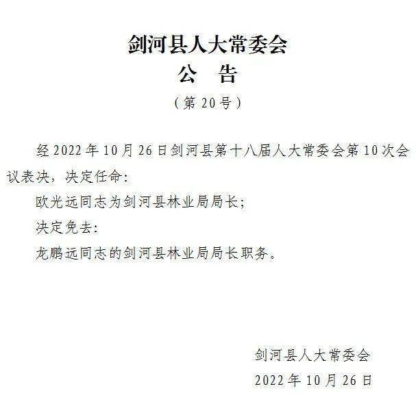 河棚乡人事任命揭晓，重塑领导力，开启新篇章